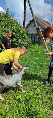 В Ивановской области продолжается акция «МногоДарю: козу в семью»